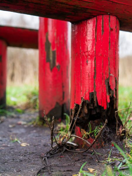 Cost of Rotten Column Replacement in Clayton